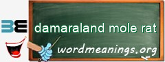 WordMeaning blackboard for damaraland mole rat